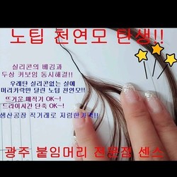 노팁 천연모 탄생!!