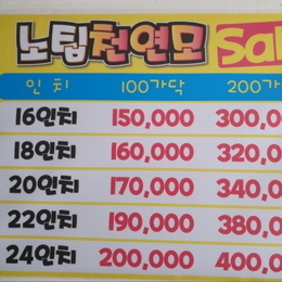 광주붙임머리/노팁 천연모 붙임머리 싱그로운 봄 세일중^